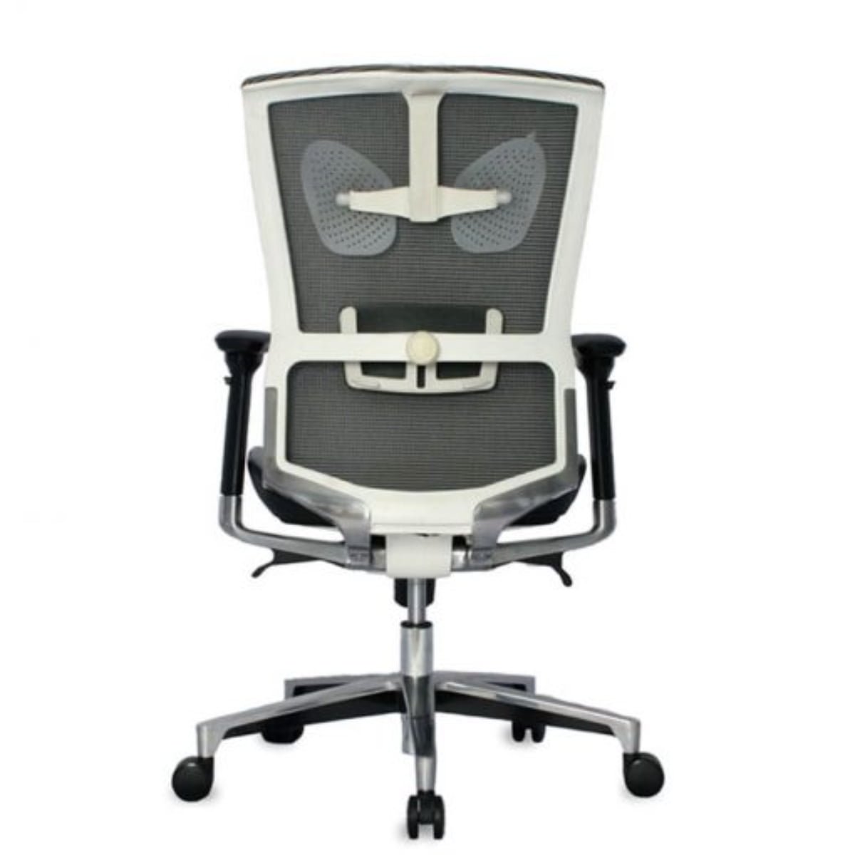 Taylor Gerente - Imagen 3